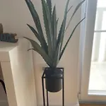 Nikola Apartament